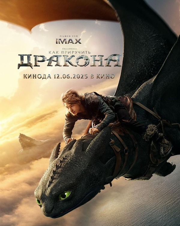Как приручить дракона - постер фильма
